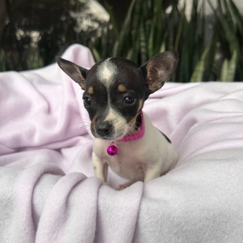 469865773_8882365151852785_8876816794081047361_n