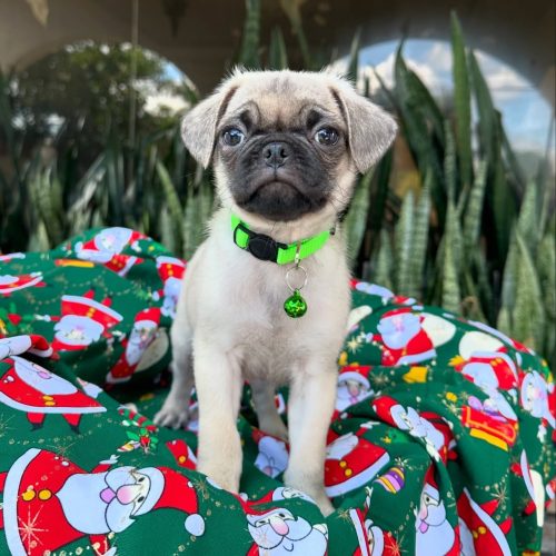 469997530_17855917809339755_1656854589550462512_n