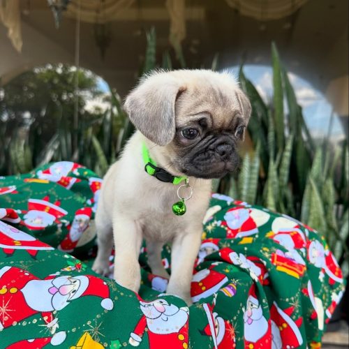 470119942_17855917845339755_8681813026662928010_n