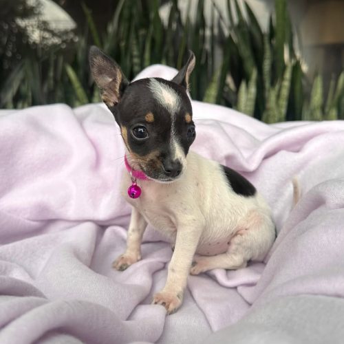 470249210_9224910834199650_8140403518175918759_n