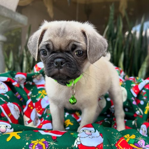 470300345_17855917800339755_5286085935458112877_n