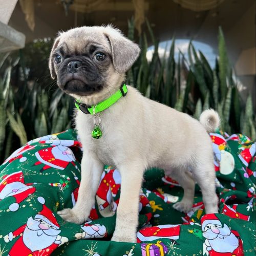 470464072_17855917782339755_8916208818290119071_n