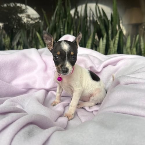 470473389_920494310147959_2759005806754009362_n