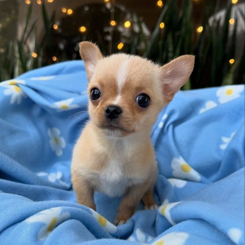 472873317_17860423353339755_8773799104948319655_n