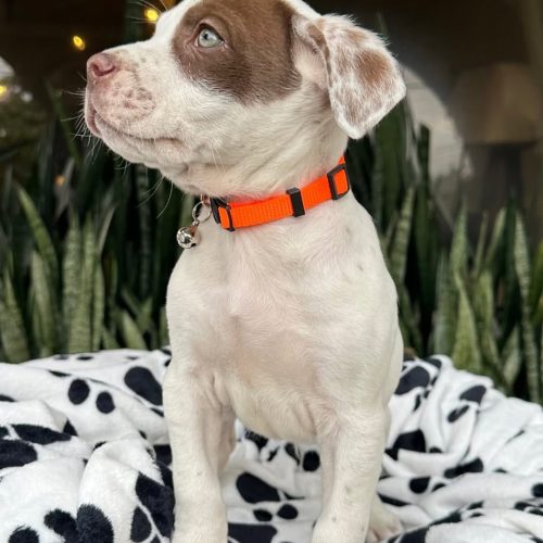 473656623_999249268906110_7870676721171801281_n