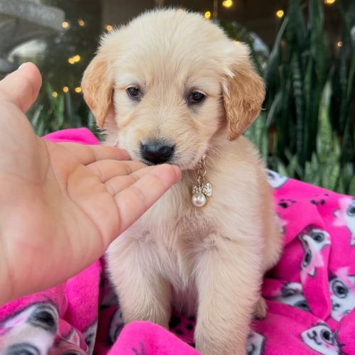 473668970_17860425525339755_3708585128384535143_n