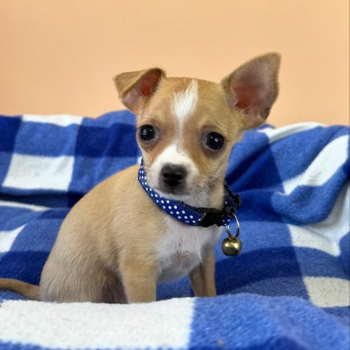 473701379_17861620953339755_77626327003813223_n