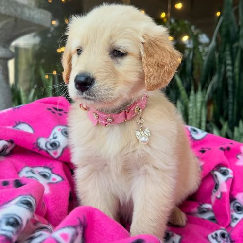 473708314_17860425555339755_1581944442449524763_n