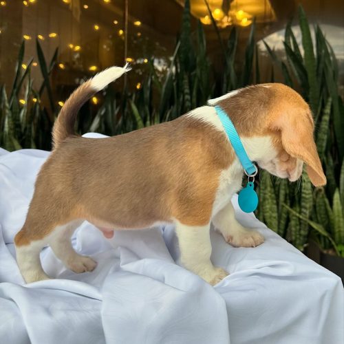 473710685_17860692807339755_6388645847903096534_n