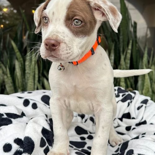 473713835_2775841192598160_1321583380103636402_n