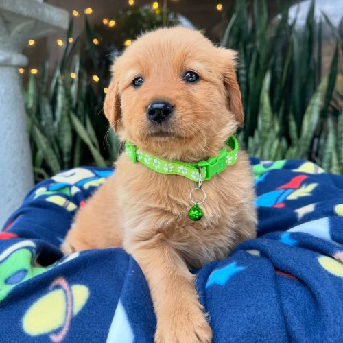 473717451_17860425654339755_7116566882913464951_n