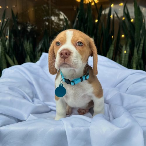 473720837_17860692828339755_9037276572945445558_n