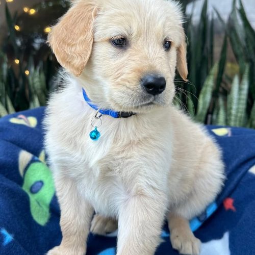 473724425_914681610875890_8678807481335920019_n