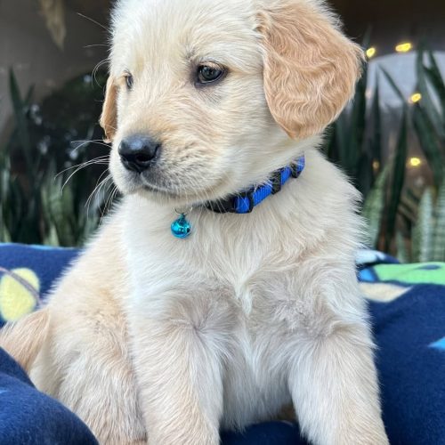 473724609_1779379002602899_5779323031171762128_n