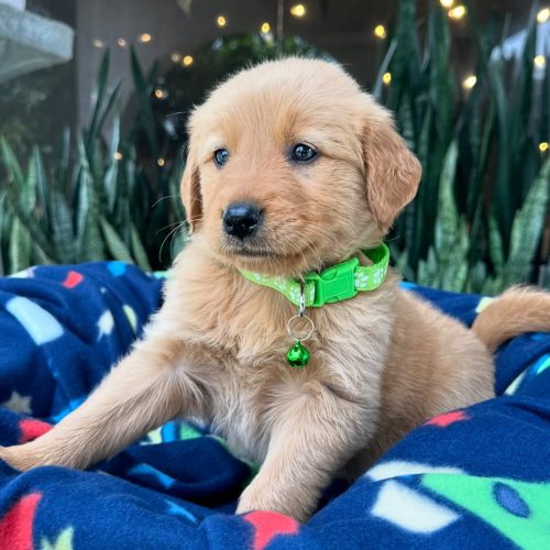 473729316_17860425663339755_8591811856059824757_n