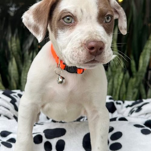 473738238_1892240954646623_5924113417023206493_n