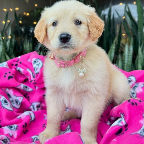 473738470_17860425489339755_5292836979555624338_n