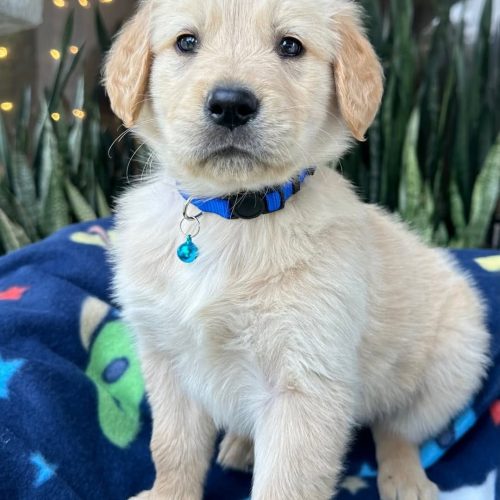 473738635_1607532566555778_3345841620789953948_n