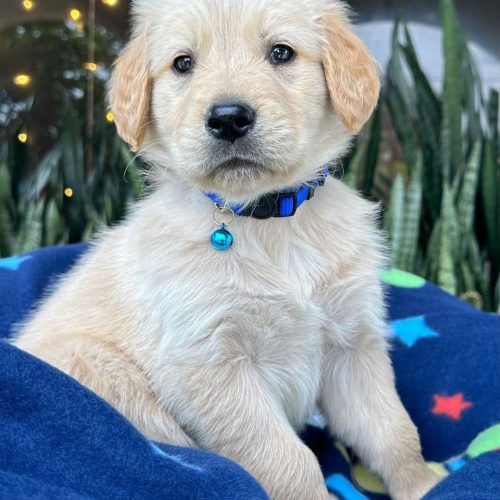 473742679_1691532021403387_1756311986146405856_n