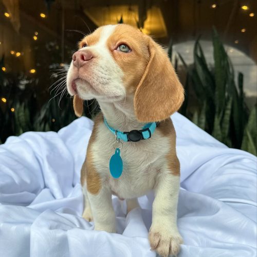 473754788_17860692789339755_5813989783864542664_n