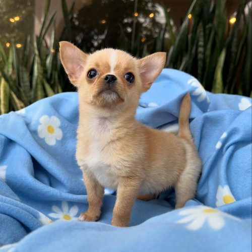 473762034_17860423377339755_6748488382016885546_n