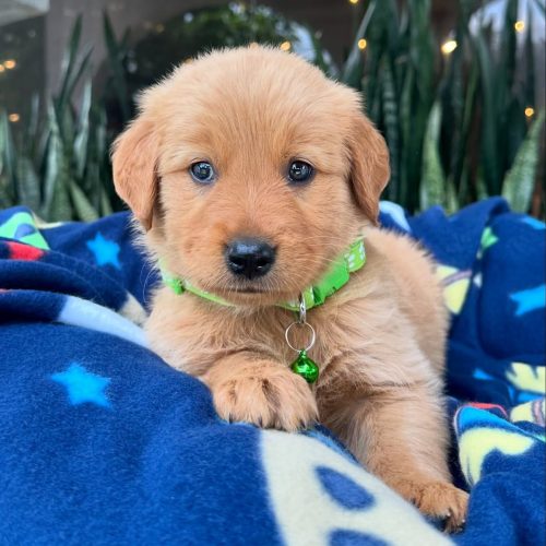 473810741_17860425624339755_83172070953283997_n