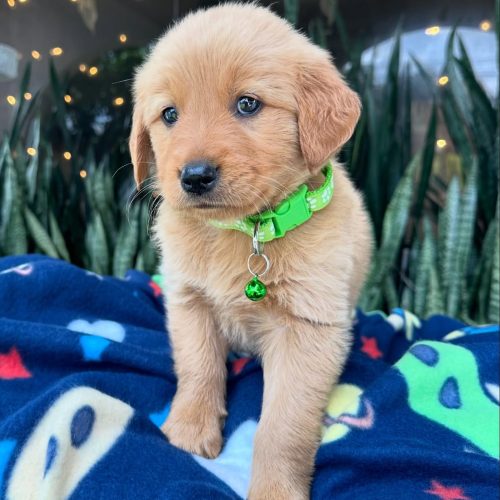 473827153_17860425672339755_1365326301494828938_n