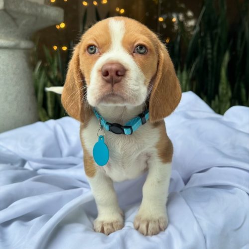 474065944_17860692780339755_3560509514694641632_n