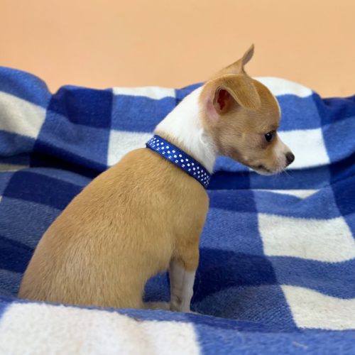 474125670_17861620971339755_904058667533552666_n