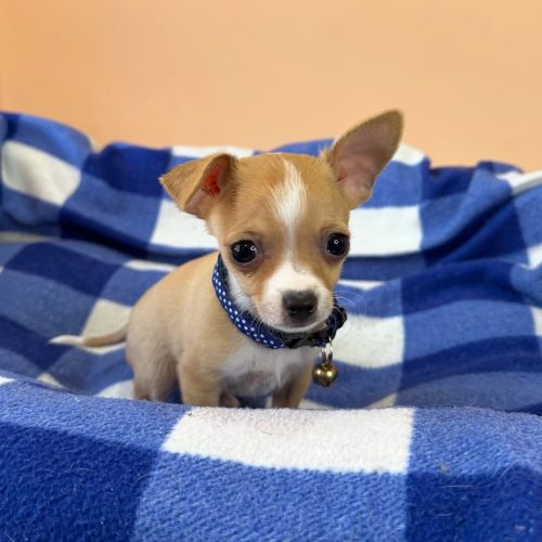 474743670_17861620980339755_7120425446240638831_n