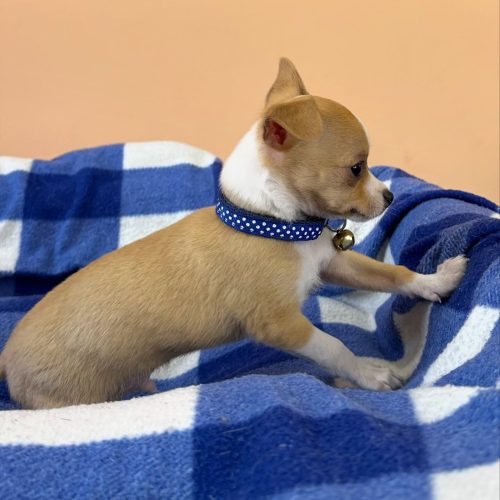 474773223_17861620989339755_8976090920552497274_n