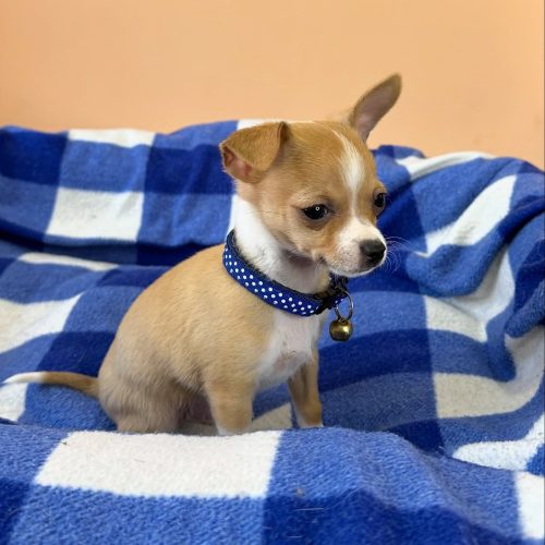 474837926_17861620962339755_1204597515155639493_n