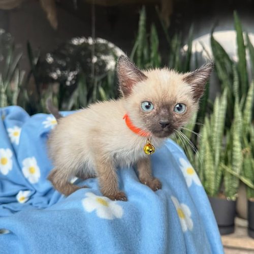 Snapinst.app_470095013_17855748162339755_3951095495069119991_n_1080