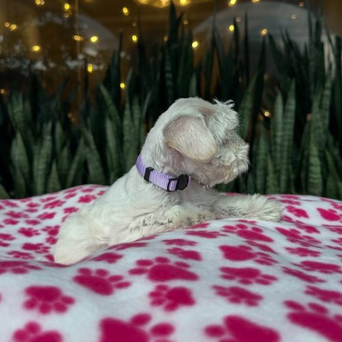 Snapinst.app_477813130_17864424813339755_5799769233944156177_n_1080